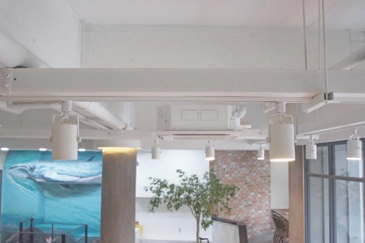 Affittacamere Hotel Ehwa In Myeongdong Seul